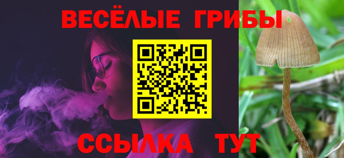 Галлюциногенные грибы Magic Shrooms Кушва